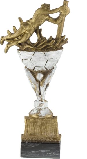 Trofeo Portero de Futbol