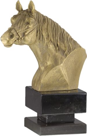 Trofeo cabeza de caballo con orejas levantadas 22 cm 24 cm 26 cm