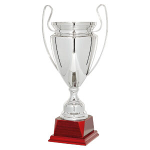 Copa metálica plateada