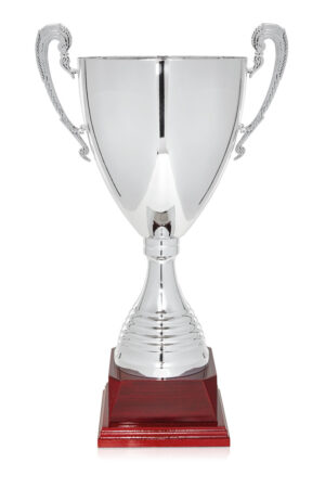 Copa Plateada de Metal con Base de Madera