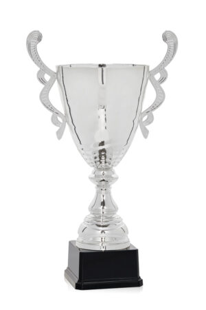 Copa metálica plateada