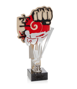 TROFEOS 3D DE KARATE CON DEPORTE METAL BRILLO